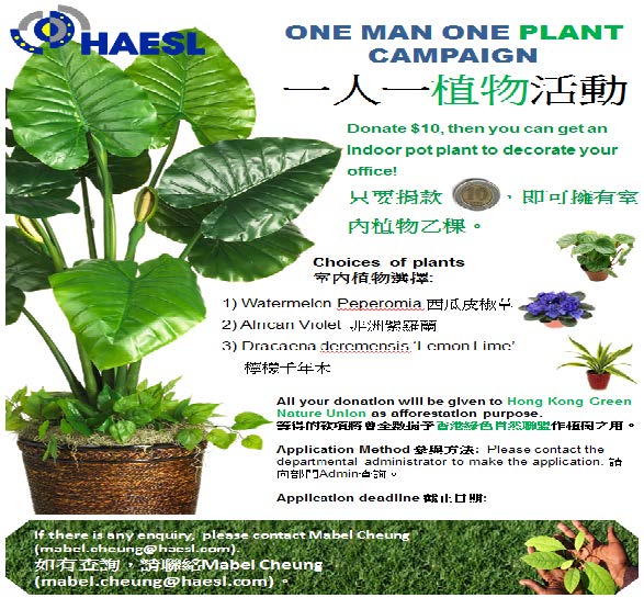 2013-5-HAESL Greener issue 55 2013
